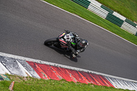 cadwell-no-limits-trackday;cadwell-park;cadwell-park-photographs;cadwell-trackday-photographs;enduro-digital-images;event-digital-images;eventdigitalimages;no-limits-trackdays;peter-wileman-photography;racing-digital-images;trackday-digital-images;trackday-photos